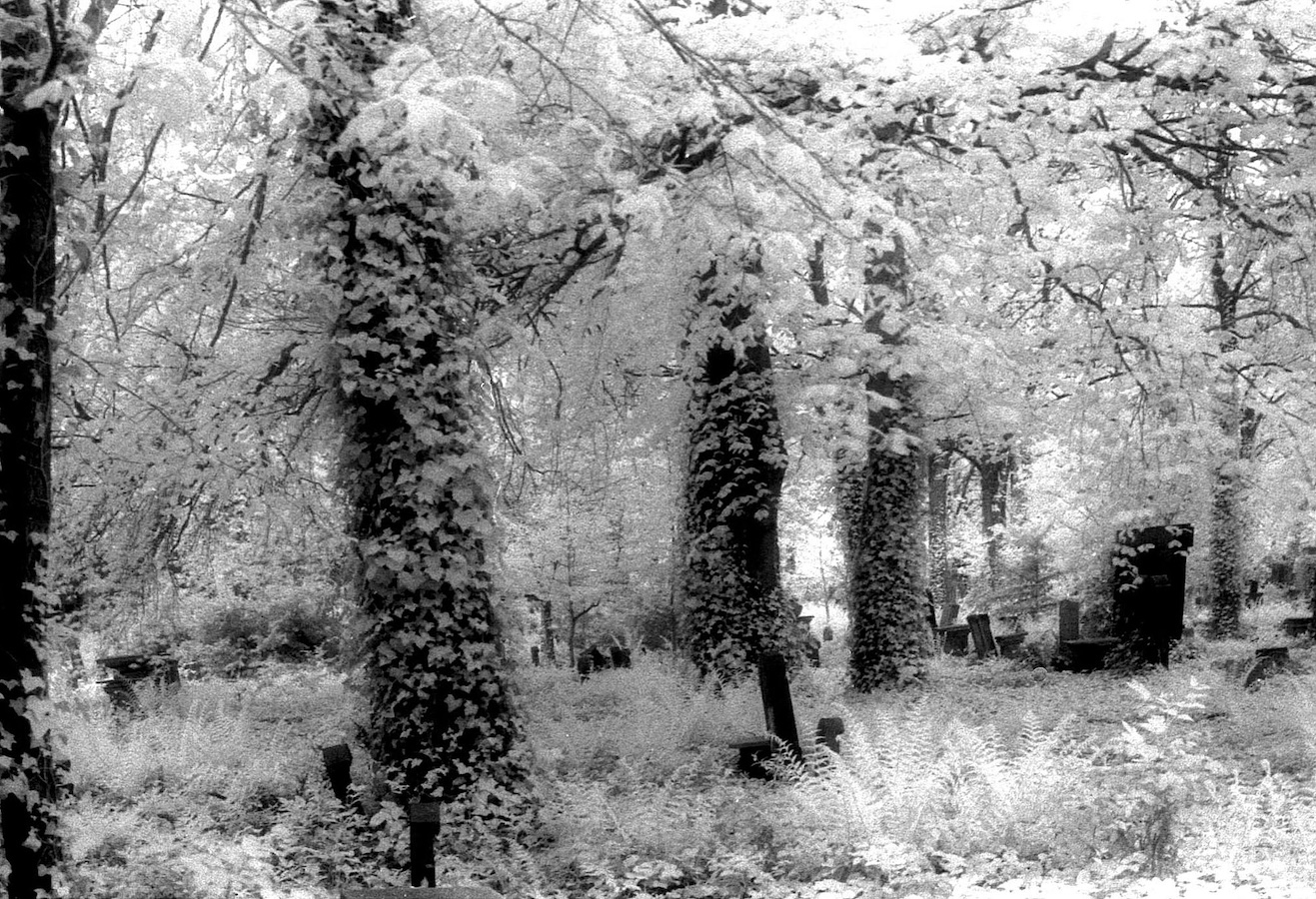 placeholder image sq