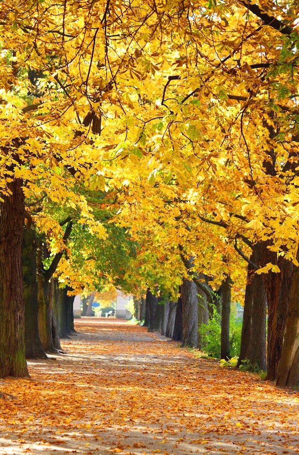 placeholder image sq