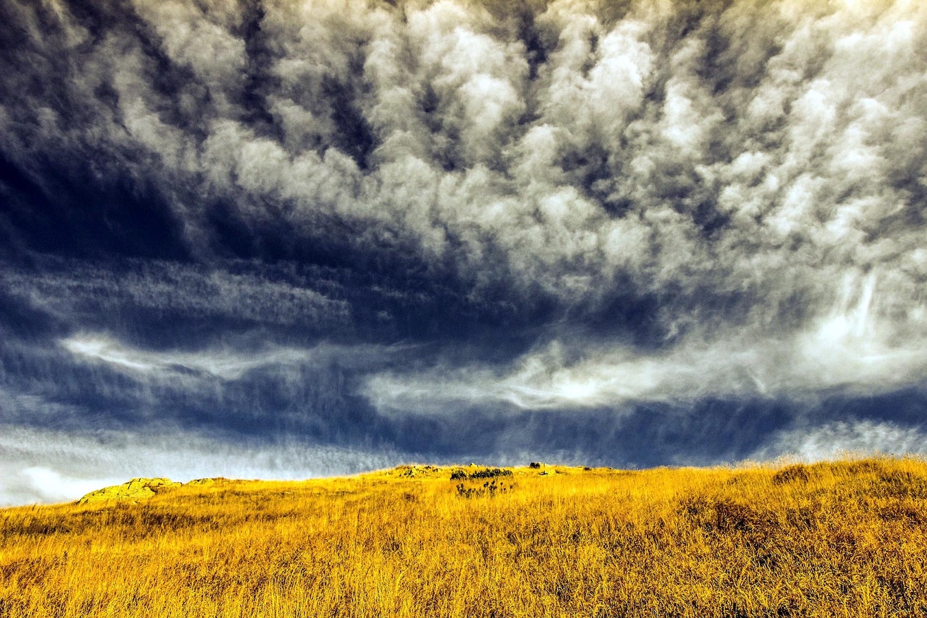 placeholder image sq